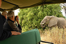 IL Ngwesi Eco Lodge Il Ngwesi Group Ranch Laikipia Plateau IL Ngwesi Eco Lodge Il Ngwesi Group Ranch Laikipia Plateau