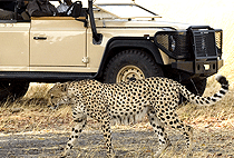 Laragai House Borana Conservancy Laikipia Plateau Laragai House Borana Conservancy Laikipia Plateau