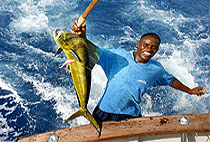 Manda Bay Lodge Manda Island Lamu Boutique Resort Manda Bay Lodge Manda Island Lamu Boutique Resort