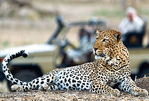 Tassia Lodge Lekurruki Community Ranch Laikipia Plateau Tassia Lodge Lekurruki Community Ranch Laikipia Plateau