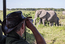 2 Days 1 Night Voi Safari Lodge Tsavo East Mombasa Safari 2 Days 1 Night Voi Safari Lodge Tsavo East Mombasa Safari