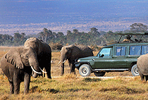 3 Days 2 Nights AA Lodge Amboseli Flying Safari 3 Days 2 Nights AA Lodge Amboseli Flying Safari