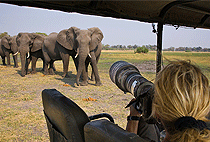 Ol Tukai Lodge Amboseli 3 Days 2 Nights Flying Safari Ol Tukai Lodge Amboseli 3 Days 2 Nights Flying Safari