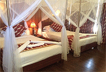 3 Days 2 Nights AA Lodge Mara Flying Safari Package 3 Days 2 Nights AA Lodge Mara Flying Safari Package