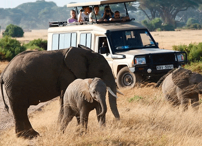 2-days-kenya-safari-game-drive-vehicles-customized-4x4-land-cruisers 2 day Kenya Safaris