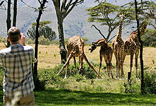 2 Days 1 Night Safari Naivasha Oserengoni Wildlife Sanctuary Safari from Nairobi