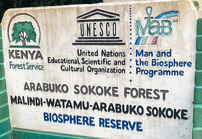 arabuko-sokoke-forest-kenya Arabuko Sokoke Forest