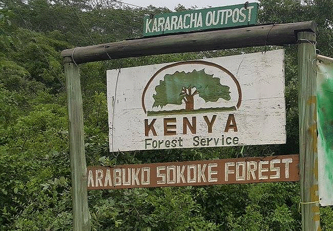 arabuko-sokoke-forest-post Arabuko Sokoke Forest
