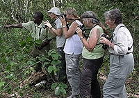 Arabuko-Sokoke Forest Nature Walks Day Trip from Malindi