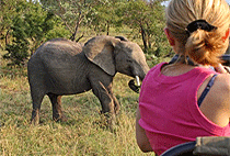 Arusha National Park Birding Safari 1 Day Tour