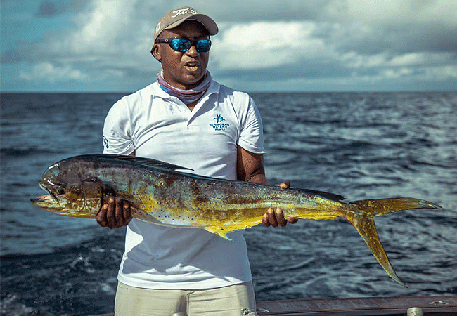 malindi-day-tours-deep-sea-fishing-full-day-deep-sea-fishing-trips Malindi Day Tours Deep Sea Fishing Day Trips
