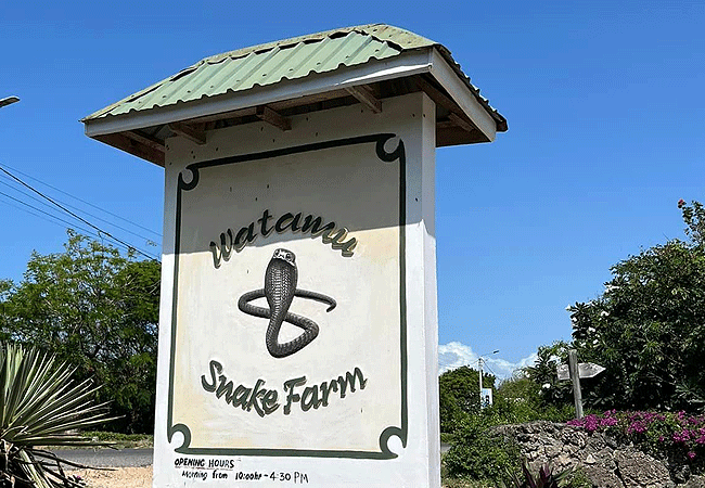 malindi-day-trip-bio-ken-snake-farm-tour-watamu Malindi Day Trip Bio-Ken Snake Farm Tour Watamu
