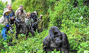 3 Days 2 Nights Mgahinga Gorilla National Park Safari From Kampala, Uganda