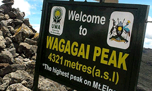 3 Days 2 Nights Mt Elgon Hike Sasa Trail Uganda From Kampala or Mbale