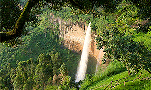 2 Days 1 Night Uganda Tour - Sezibwa Falls, Mbaira Rainforest, Source of River Nile in Jinja & Sipi falls Hike (Driving) From Kampala