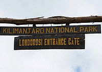 Arusha Day Tours Climbing Mt Kilimanjaro 1 Day Shira Route from Arusha – Tanzania