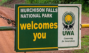 4 Days 3 Nights Murchison Falls National Park Safari (Driving) From Kampala, Uganda