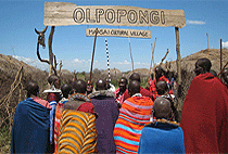 Arusha 1 Day Cultural Tour Olpopongi Maasai Cultural Village