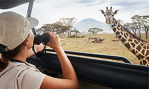 Tanzania Road Safaris, Tours & Trips