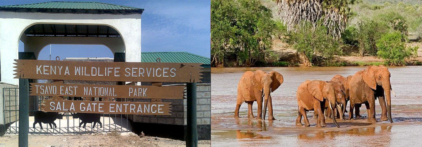 Malindi Tsavo East National Park Safari Day Trip