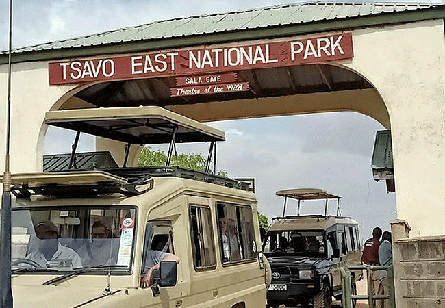 Malindi Tsavo East National Park Safari Day Trip