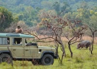 1 Day Tour Rubondo Island National Park Southwestern Lake Victoria Tanzania