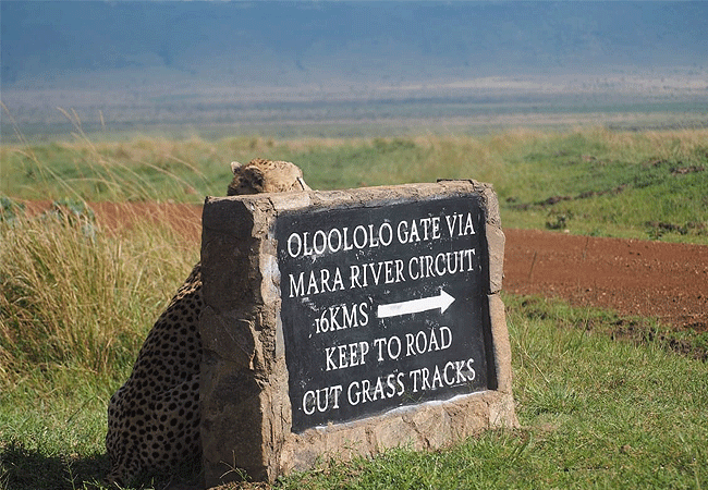 2-days-1-night-kisumu-masai-mara-road-safari-entrance-gate-ololoolo-gate 2 Days 1 Night Kisumu Masai Mara Road Safari