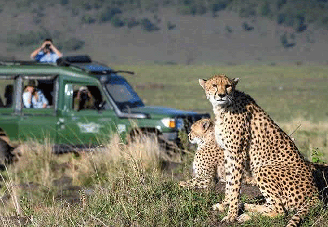 2-days-1-night-kisumu-masai-mara-road-safari-landcruiser 2 days 1 night kisumu masai mara road safari