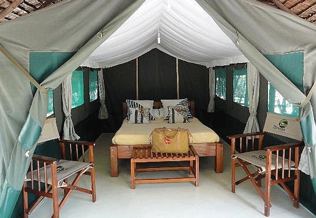 2-days-1-night-kisumu-masai-mara-road-safari-olmoran-tented-camp 2 days 1 night kisumu masai mara road safari