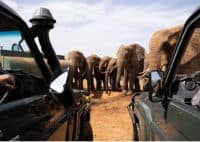 3 Day Fly-In Safari Package Kipalo Hills Lodge
