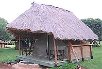 Acacia Camp Masai Mara