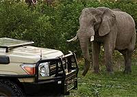 Akagera National Park Full Day Trip (4x4 Safari) from Kigali – Rwanda