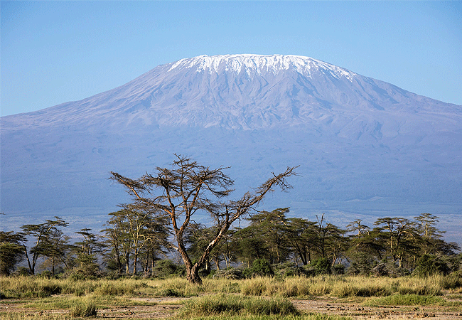 Amboseli Day Trip Safari