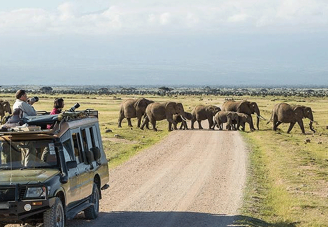 Amboseli Day Trip Safari