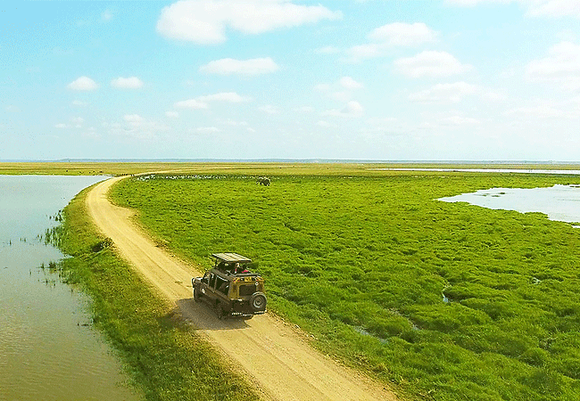 Amboseli Day Trip Safari