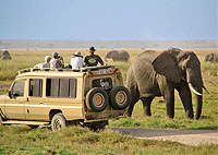Amboseli National Park 1 Day Trip Safari from Nairobi – Kenya