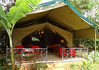 Anga Afrika Luxury Tented Camp, Karen Estate – Nairobi