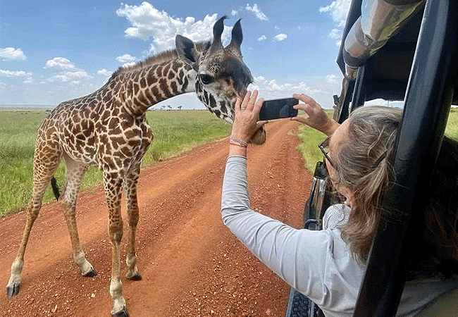 Angama Mara Lodge