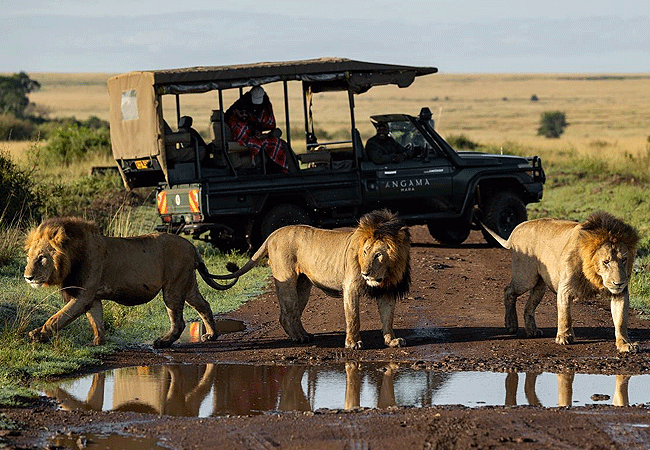 Angama Mara Lodge