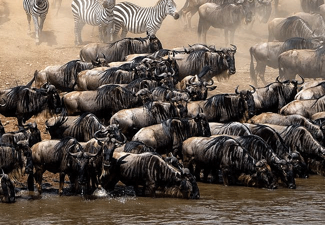 Angama Mara Lodge