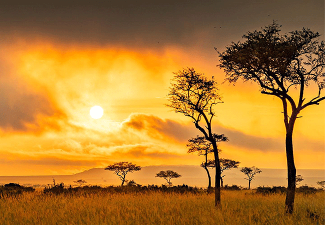 Angama Mara Lodge