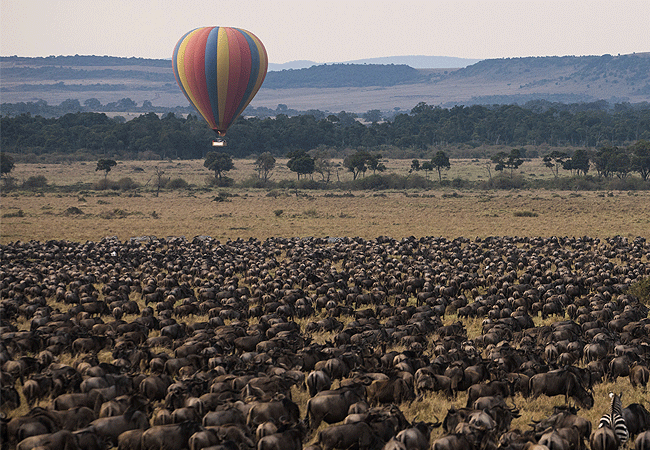 Angama Mara Lodge