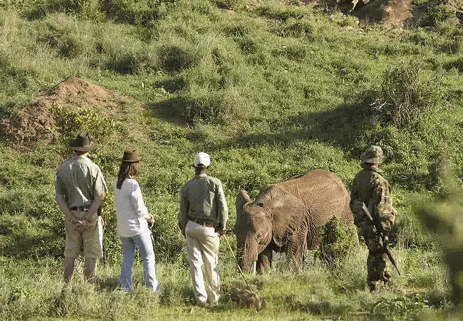 arijiju-retreat-holiday-home-laikipia-walking-safaris Arijiju Retreat Holiday Home Laikipia