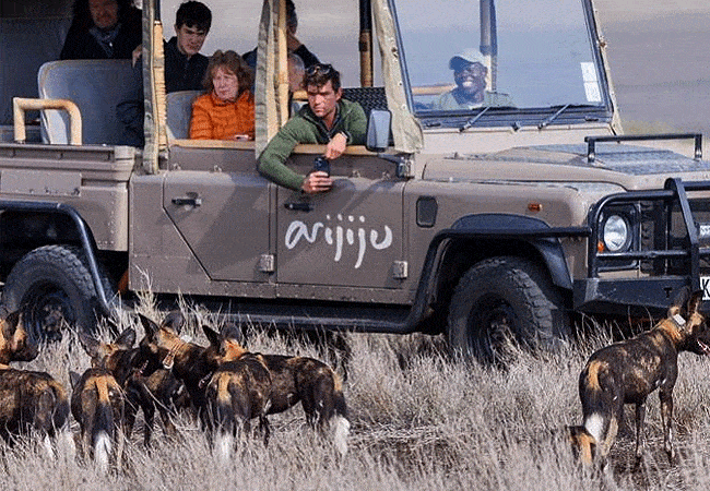 arijiju-retreat-holiday-home-laikipia-wild-dogs Arijiju Retreat Holiday Home Laikipia