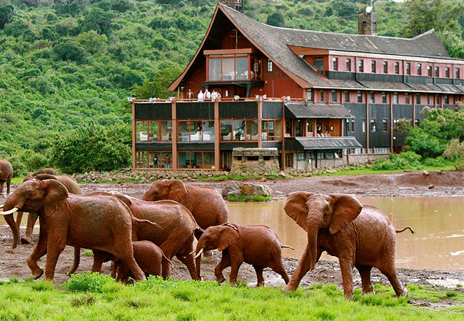 ark-lodge-waterhole Aberdare National Park Safari 2 Days 1 Night Tour