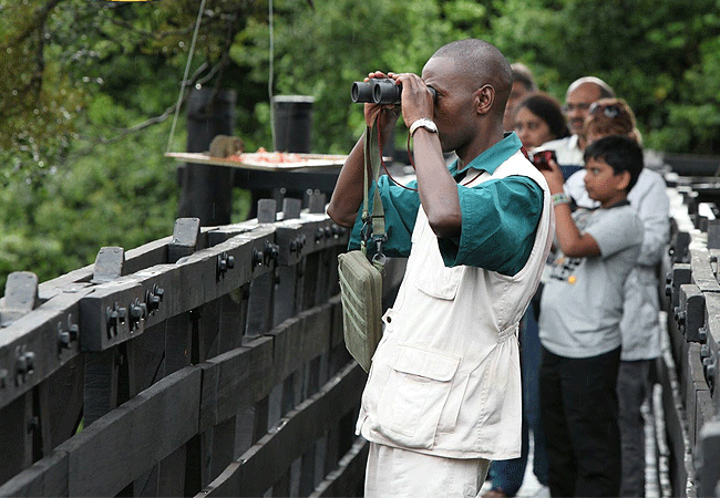 the-ark-lodge-aberdare-national-park-bird-watching The Ark Lodge Aberdare National Park