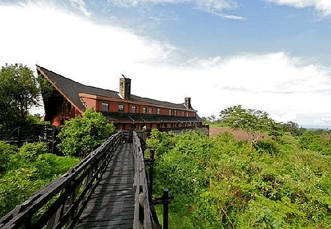 the-ark-lodge-aberdare-national-park-entrance The Ark Lodge Aberdare National Park