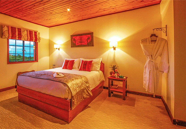 the-ark-lodge-aberdare-national-park-guest-room The Ark Lodge Aberdare National Park