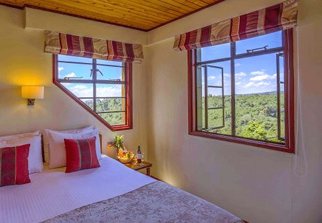 the-ark-lodge-aberdare-national-park-single-room The Ark Lodge Aberdare National Park