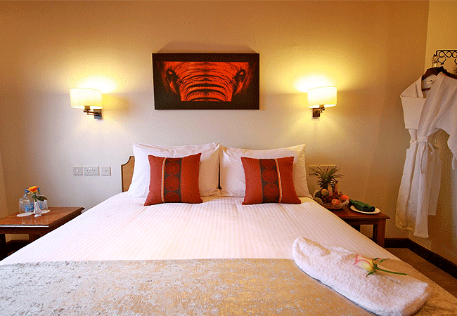 the-ark-lodge-aberdare-national-park-double-room The Ark Lodge Aberdare National Park